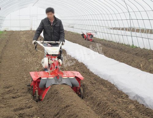 大棚用旋耕起壟機(jī)