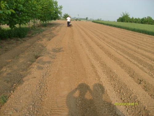 草莓起壟機(jī)